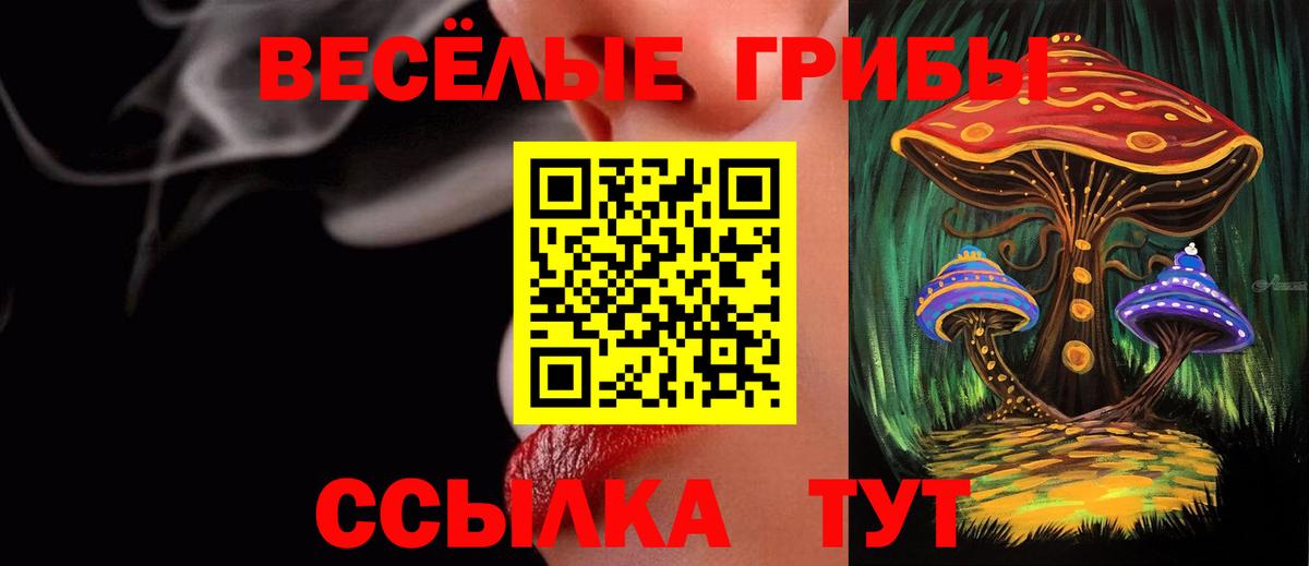 Батайск  Псилоцибиновые грибы MAGIC MUSHROOMS  Вход с VPN 